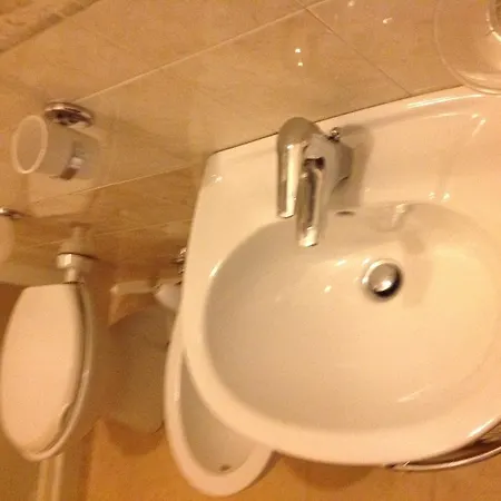 Guest house Palace *